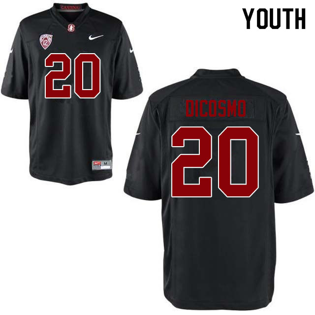 Youth #20 Aeneas DiCosmo Stanford Cardinal College Football Jerseys Sale-Black